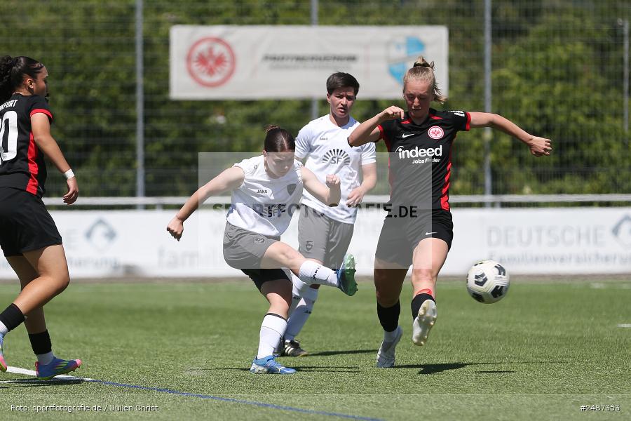KR-F. Riederwald, Frankfurt, 11.05.2025, sport, action, Fussball, Regionalliga Süd, FFC, SGE, 1. FFC Hof, Eintracht Frankfurt U19 - Bild-ID: 2487353 KR-F. Riederwald, Frankfurt, 11.05.2025, sport, action, Fussball, Regionalliga Süd, FFC, SGE, 1. FFC Hof, Eintracht Frankfurt U19 - Bild-ID: 2487353