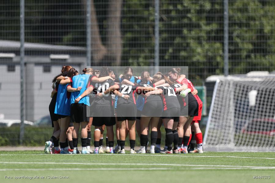 sport, action, SGE, Regionalliga Süd, KR-F. Riederwald, Fussball, Frankfurt, FFC, Eintracht Frankfurt U19, 11.05.2025, 1. FFC Hof - Bild-ID: 2487373 sport, action, SGE, Regionalliga Süd, KR-F. Riederwald, Fussball, Frankfurt, FFC, Eintracht Frankfurt U19, 11.05.2025, 1. FFC Hof - Bild-ID: 2487373