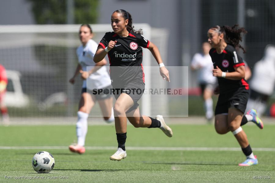 sport, action, SGE, Regionalliga Süd, KR-F. Riederwald, Fussball, Frankfurt, FFC, Eintracht Frankfurt U19, 11.05.2025, 1. FFC Hof - Bild-ID: 2487374 sport, action, SGE, Regionalliga Süd, KR-F. Riederwald, Fussball, Frankfurt, FFC, Eintracht Frankfurt U19, 11.05.2025, 1. FFC Hof - Bild-ID: 2487374
