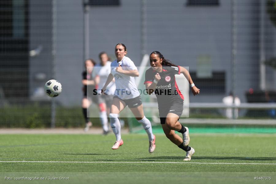sport, action, SGE, Regionalliga Süd, KR-F. Riederwald, Fussball, Frankfurt, FFC, Eintracht Frankfurt U19, 11.05.2025, 1. FFC Hof - Bild-ID: 2487375 sport, action, SGE, Regionalliga Süd, KR-F. Riederwald, Fussball, Frankfurt, FFC, Eintracht Frankfurt U19, 11.05.2025, 1. FFC Hof - Bild-ID: 2487375