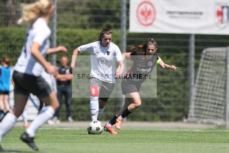 sport, action, SGE, Regionalliga Süd, KR-F. Riederwald, Fussball, Frankfurt, FFC, Eintracht Frankfurt U19, 11.05.2025, 1. FFC Hof - Bild-ID: 2487377 sport, action, SGE, Regionalliga Süd, KR-F. Riederwald, Fussball, Frankfurt, FFC, Eintracht Frankfurt U19, 11.05.2025, 1. FFC Hof - Bild-ID: 2487377
