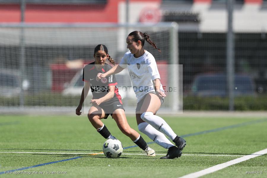 sport, action, SGE, Regionalliga Süd, KR-F. Riederwald, Fussball, Frankfurt, FFC, Eintracht Frankfurt U19, 11.05.2025, 1. FFC Hof - Bild-ID: 2487378 sport, action, SGE, Regionalliga Süd, KR-F. Riederwald, Fussball, Frankfurt, FFC, Eintracht Frankfurt U19, 11.05.2025, 1. FFC Hof - Bild-ID: 2487378