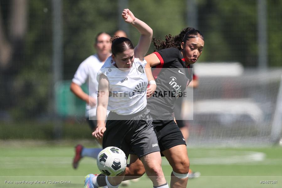 sport, action, SGE, Regionalliga Süd, KR-F. Riederwald, Fussball, Frankfurt, FFC, Eintracht Frankfurt U19, 11.05.2025, 1. FFC Hof - Bild-ID: 2487381 sport, action, SGE, Regionalliga Süd, KR-F. Riederwald, Fussball, Frankfurt, FFC, Eintracht Frankfurt U19, 11.05.2025, 1. FFC Hof - Bild-ID: 2487381