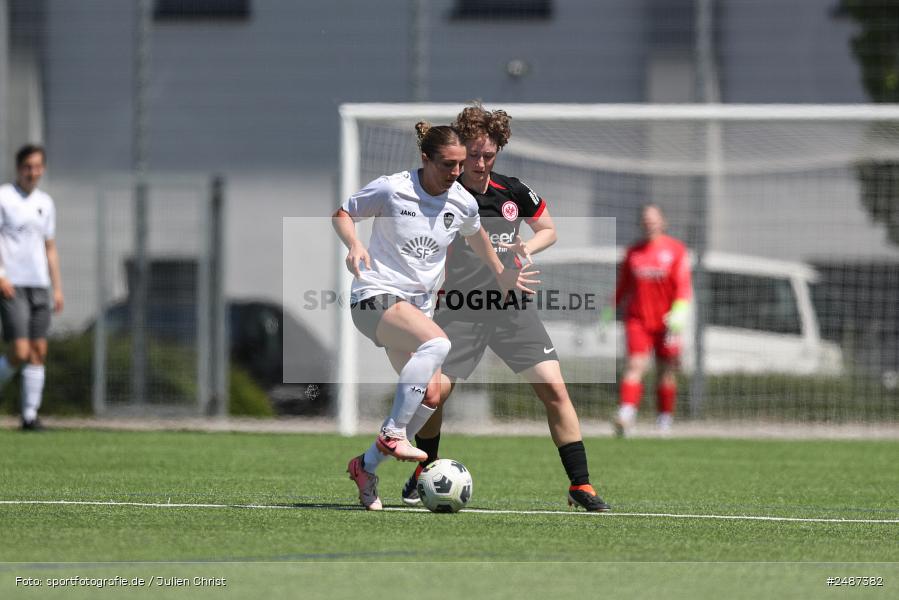 sport, action, SGE, Regionalliga Süd, KR-F. Riederwald, Fussball, Frankfurt, FFC, Eintracht Frankfurt U19, 11.05.2025, 1. FFC Hof - Bild-ID: 2487382 sport, action, SGE, Regionalliga Süd, KR-F. Riederwald, Fussball, Frankfurt, FFC, Eintracht Frankfurt U19, 11.05.2025, 1. FFC Hof - Bild-ID: 2487382
