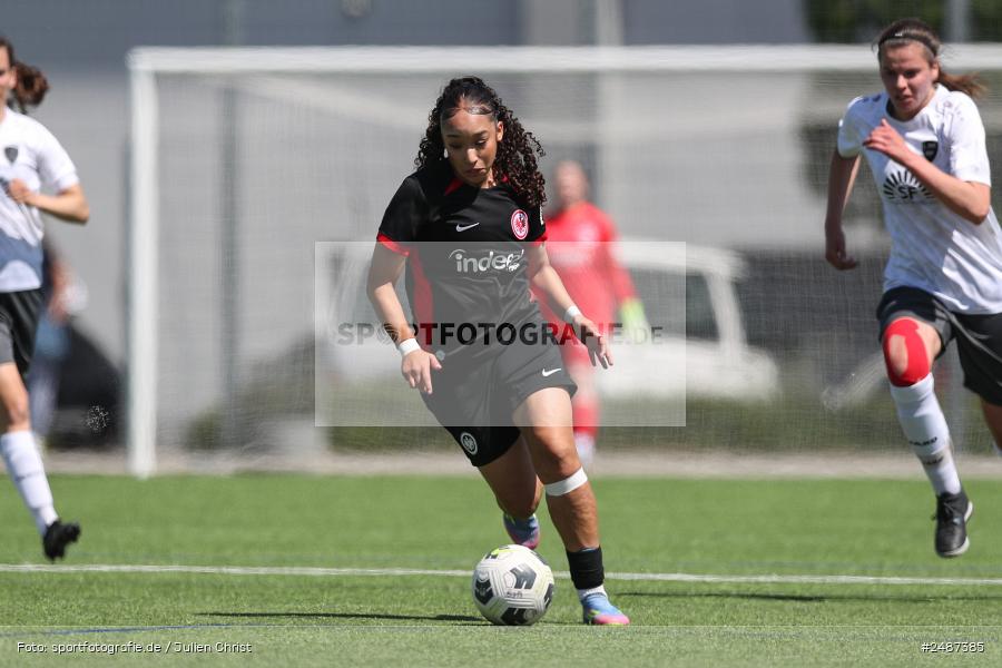 sport, action, SGE, Regionalliga Süd, KR-F. Riederwald, Fussball, Frankfurt, FFC, Eintracht Frankfurt U19, 11.05.2025, 1. FFC Hof - Bild-ID: 2487385 sport, action, SGE, Regionalliga Süd, KR-F. Riederwald, Fussball, Frankfurt, FFC, Eintracht Frankfurt U19, 11.05.2025, 1. FFC Hof - Bild-ID: 2487385