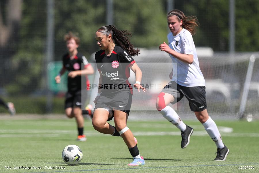 sport, action, SGE, Regionalliga Süd, KR-F. Riederwald, Fussball, Frankfurt, FFC, Eintracht Frankfurt U19, 11.05.2025, 1. FFC Hof - Bild-ID: 2487386 sport, action, SGE, Regionalliga Süd, KR-F. Riederwald, Fussball, Frankfurt, FFC, Eintracht Frankfurt U19, 11.05.2025, 1. FFC Hof - Bild-ID: 2487386