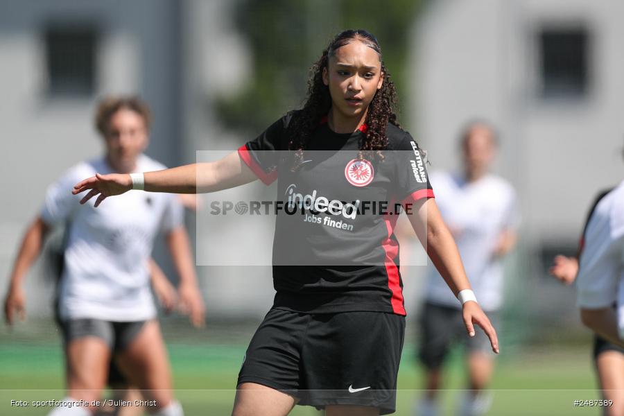 sport, action, SGE, Regionalliga Süd, KR-F. Riederwald, Fussball, Frankfurt, FFC, Eintracht Frankfurt U19, 11.05.2025, 1. FFC Hof - Bild-ID: 2487389 sport, action, SGE, Regionalliga Süd, KR-F. Riederwald, Fussball, Frankfurt, FFC, Eintracht Frankfurt U19, 11.05.2025, 1. FFC Hof - Bild-ID: 2487389