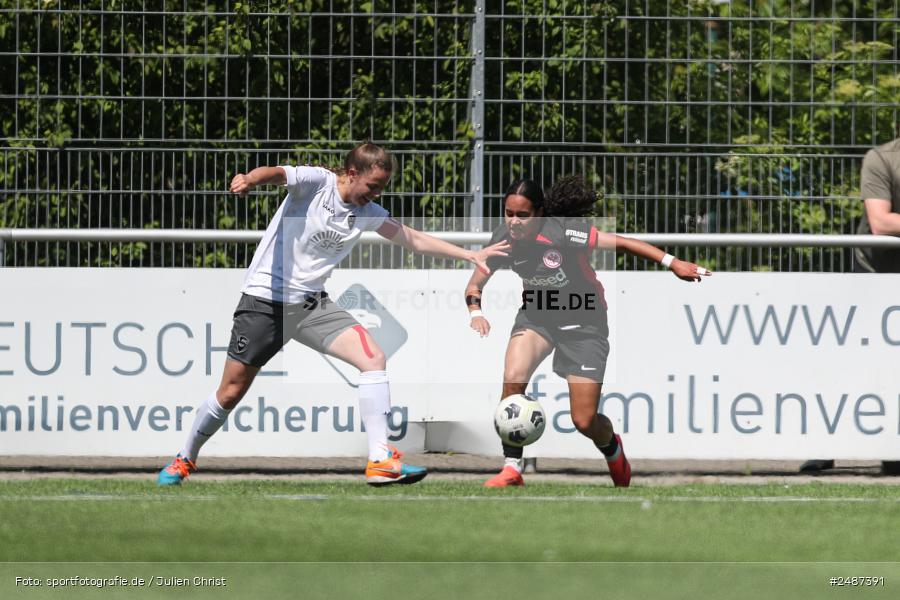 sport, action, SGE, Regionalliga Süd, KR-F. Riederwald, Fussball, Frankfurt, FFC, Eintracht Frankfurt U19, 11.05.2025, 1. FFC Hof - Bild-ID: 2487391 sport, action, SGE, Regionalliga Süd, KR-F. Riederwald, Fussball, Frankfurt, FFC, Eintracht Frankfurt U19, 11.05.2025, 1. FFC Hof - Bild-ID: 2487391