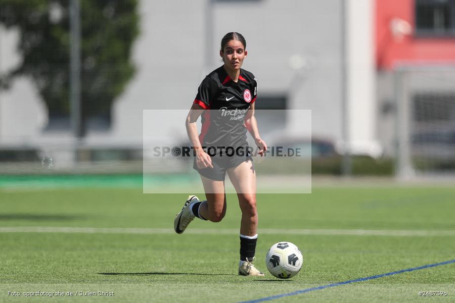 sport, action, SGE, Regionalliga Süd, KR-F. Riederwald, Fussball, Frankfurt, FFC, Eintracht Frankfurt U19, 11.05.2025, 1. FFC Hof - Bild-ID: 2487396 sport, action, SGE, Regionalliga Süd, KR-F. Riederwald, Fussball, Frankfurt, FFC, Eintracht Frankfurt U19, 11.05.2025, 1. FFC Hof - Bild-ID: 2487396