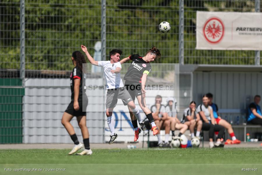sport, action, SGE, Regionalliga Süd, KR-F. Riederwald, Fussball, Frankfurt, FFC, Eintracht Frankfurt U19, 11.05.2025, 1. FFC Hof - Bild-ID: 2487401 sport, action, SGE, Regionalliga Süd, KR-F. Riederwald, Fussball, Frankfurt, FFC, Eintracht Frankfurt U19, 11.05.2025, 1. FFC Hof - Bild-ID: 2487401