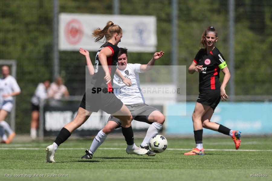 sport, action, SGE, Regionalliga Süd, KR-F. Riederwald, Fussball, Frankfurt, FFC, Eintracht Frankfurt U19, 11.05.2025, 1. FFC Hof - Bild-ID: 2487403 sport, action, SGE, Regionalliga Süd, KR-F. Riederwald, Fussball, Frankfurt, FFC, Eintracht Frankfurt U19, 11.05.2025, 1. FFC Hof - Bild-ID: 2487403