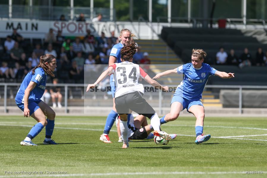 sport, action, Stadion am Brentanobad, SVM, SV Meppen 1912 e. V., SGE, Fussball, Frankfurt, Eintracht Frankfurt II, DFB, 25. Spieltag, 2. Frauen-Bundesliga, 11.05.2025 - Bild-ID: 2487480 sport, action, Stadion am Brentanobad, SVM, SV Meppen 1912 e. V., SGE, Fussball, Frankfurt, Eintracht Frankfurt II, DFB, 25. Spieltag, 2. Frauen-Bundesliga, 11.05.2025 - Bild-ID: 2487480