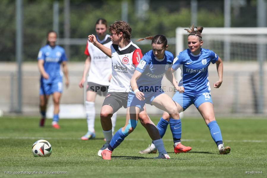 sport, action, Stadion am Brentanobad, SVM, SV Meppen 1912 e. V., SGE, Fussball, Frankfurt, Eintracht Frankfurt II, DFB, 25. Spieltag, 2. Frauen-Bundesliga, 11.05.2025 - Bild-ID: 2487494 sport, action, Stadion am Brentanobad, SVM, SV Meppen 1912 e. V., SGE, Fussball, Frankfurt, Eintracht Frankfurt II, DFB, 25. Spieltag, 2. Frauen-Bundesliga, 11.05.2025 - Bild-ID: 2487494