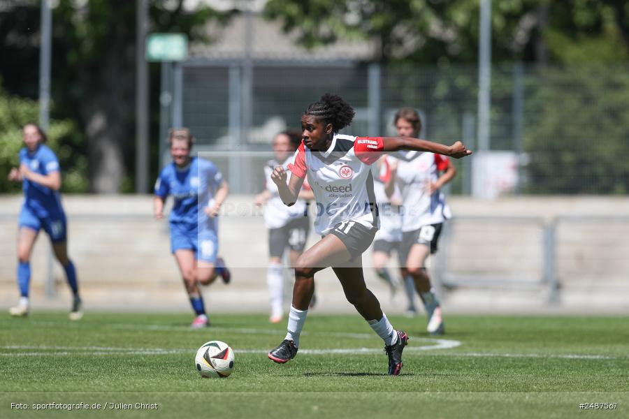 sport, action, Stadion am Brentanobad, SVM, SV Meppen 1912 e. V., SGE, Fussball, Frankfurt, Eintracht Frankfurt II, DFB, 25. Spieltag, 2. Frauen-Bundesliga, 11.05.2025 - Bild-ID: 2487567 sport, action, Stadion am Brentanobad, SVM, SV Meppen 1912 e. V., SGE, Fussball, Frankfurt, Eintracht Frankfurt II, DFB, 25. Spieltag, 2. Frauen-Bundesliga, 11.05.2025 - Bild-ID: 2487567