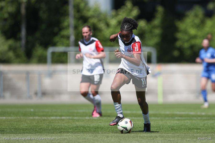 sport, action, Stadion am Brentanobad, SVM, SV Meppen 1912 e. V., SGE, Fussball, Frankfurt, Eintracht Frankfurt II, DFB, 25. Spieltag, 2. Frauen-Bundesliga, 11.05.2025 - Bild-ID: 2487568 sport, action, Stadion am Brentanobad, SVM, SV Meppen 1912 e. V., SGE, Fussball, Frankfurt, Eintracht Frankfurt II, DFB, 25. Spieltag, 2. Frauen-Bundesliga, 11.05.2025 - Bild-ID: 2487568