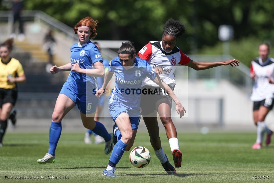 sport, action, Stadion am Brentanobad, SVM, SV Meppen 1912 e. V., SGE, Fussball, Frankfurt, Eintracht Frankfurt II, DFB, 25. Spieltag, 2. Frauen-Bundesliga, 11.05.2025 - Bild-ID: 2487575 sport, action, Stadion am Brentanobad, SVM, SV Meppen 1912 e. V., SGE, Fussball, Frankfurt, Eintracht Frankfurt II, DFB, 25. Spieltag, 2. Frauen-Bundesliga, 11.05.2025 - Bild-ID: 2487575