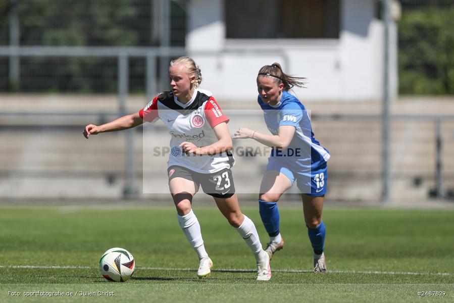 sport, action, Stadion am Brentanobad, SVM, SV Meppen 1912 e. V., SGE, Fussball, Frankfurt, Eintracht Frankfurt II, DFB, 25. Spieltag, 2. Frauen-Bundesliga, 11.05.2025 - Bild-ID: 2487829 sport, action, Stadion am Brentanobad, SVM, SV Meppen 1912 e. V., SGE, Fussball, Frankfurt, Eintracht Frankfurt II, DFB, 25. Spieltag, 2. Frauen-Bundesliga, 11.05.2025 - Bild-ID: 2487829