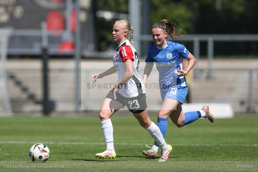 sport, action, Stadion am Brentanobad, SVM, SV Meppen 1912 e. V., SGE, Fussball, Frankfurt, Eintracht Frankfurt II, DFB, 25. Spieltag, 2. Frauen-Bundesliga, 11.05.2025 - Bild-ID: 2487830 sport, action, Stadion am Brentanobad, SVM, SV Meppen 1912 e. V., SGE, Fussball, Frankfurt, Eintracht Frankfurt II, DFB, 25. Spieltag, 2. Frauen-Bundesliga, 11.05.2025 - Bild-ID: 2487830