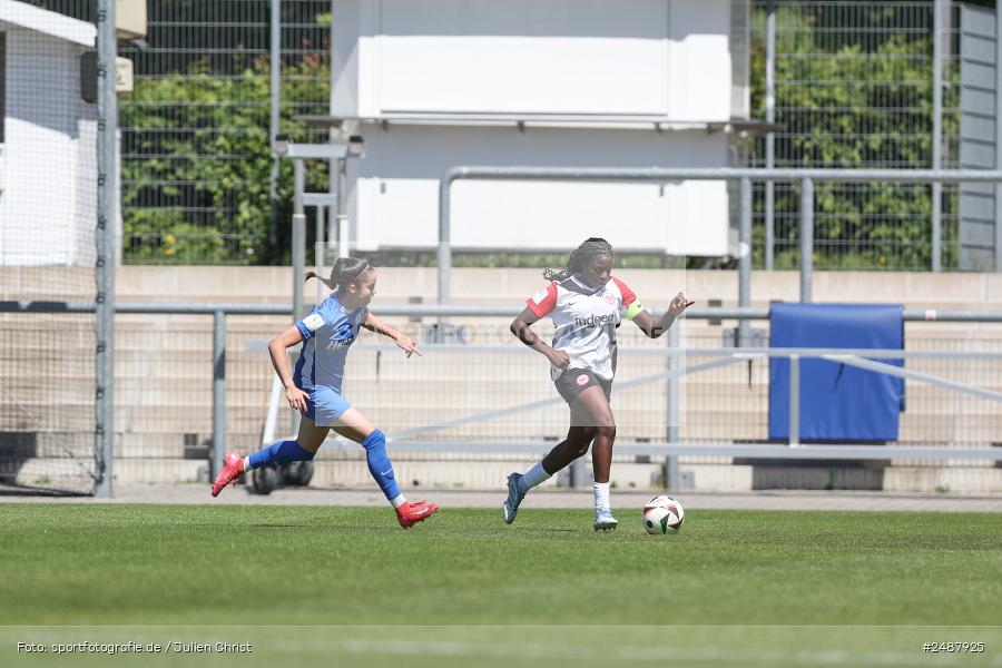 sport, action, Stadion am Brentanobad, SVM, SV Meppen 1912 e. V., SGE, Fussball, Frankfurt, Eintracht Frankfurt II, DFB, 25. Spieltag, 2. Frauen-Bundesliga, 11.05.2025 - Bild-ID: 2487925 sport, action, Stadion am Brentanobad, SVM, SV Meppen 1912 e. V., SGE, Fussball, Frankfurt, Eintracht Frankfurt II, DFB, 25. Spieltag, 2. Frauen-Bundesliga, 11.05.2025 - Bild-ID: 2487925