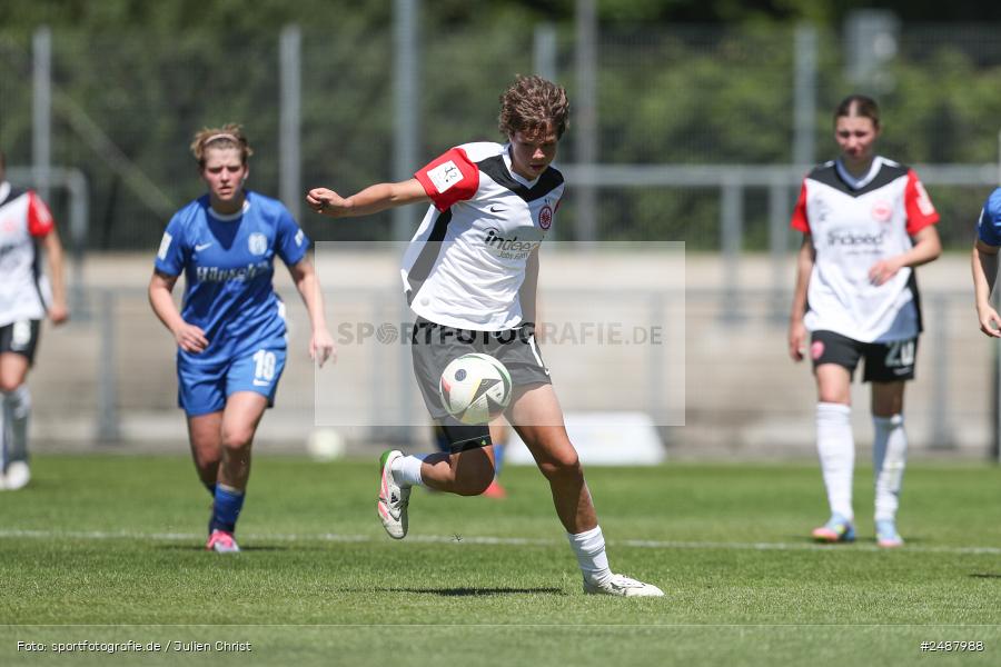 sport, action, Stadion am Brentanobad, SVM, SV Meppen 1912 e. V., SGE, Fussball, Frankfurt, Eintracht Frankfurt II, DFB, 25. Spieltag, 2. Frauen-Bundesliga, 11.05.2025 - Bild-ID: 2487988 sport, action, Stadion am Brentanobad, SVM, SV Meppen 1912 e. V., SGE, Fussball, Frankfurt, Eintracht Frankfurt II, DFB, 25. Spieltag, 2. Frauen-Bundesliga, 11.05.2025 - Bild-ID: 2487988
