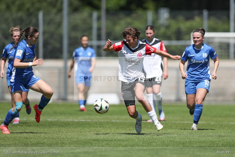 sport, action, Stadion am Brentanobad, SVM, SV Meppen 1912 e. V., SGE, Fussball, Frankfurt, Eintracht Frankfurt II, DFB, 25. Spieltag, 2. Frauen-Bundesliga, 11.05.2025 - Bild-ID: 2487991 sport, action, Stadion am Brentanobad, SVM, SV Meppen 1912 e. V., SGE, Fussball, Frankfurt, Eintracht Frankfurt II, DFB, 25. Spieltag, 2. Frauen-Bundesliga, 11.05.2025 - Bild-ID: 2487991