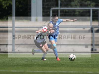 Bild-ID: 2487308