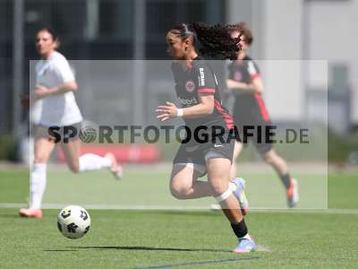 Bild-ID: 2487356