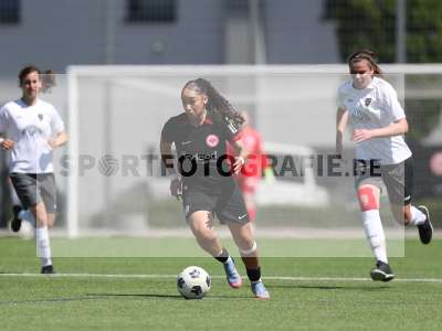 Bild-ID: 2487363