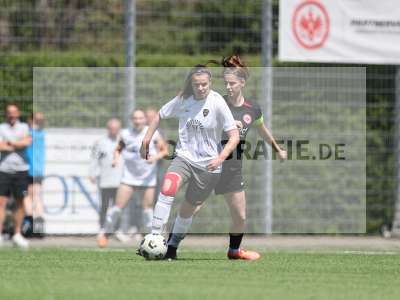 Bild-ID: 2487376
