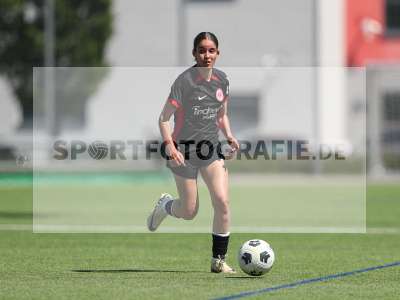 Bild-ID: 2487396