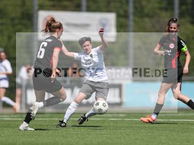 Bild-ID: 2487402