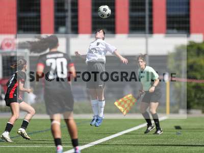 Bild-ID: 2487410