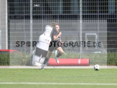 Bild-ID: 2487419
