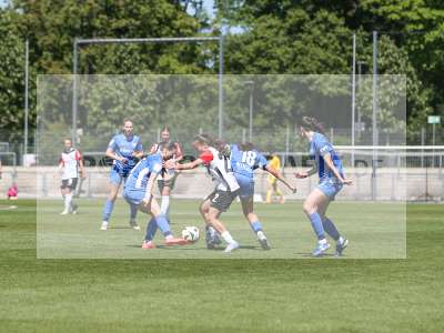 Bild-ID: 2487483