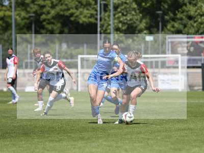 Bild-ID: 2487485