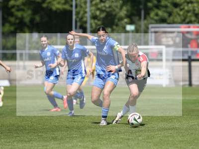 Bild-ID: 2487486