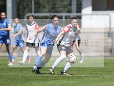 Bild-ID: 2487526