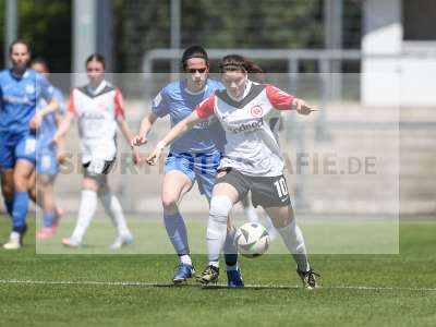 Bild-ID: 2487527
