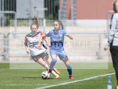 Bild-ID: 2487533