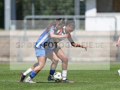 Bild-ID: 2487562
