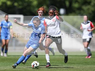 Bild-ID: 2487572