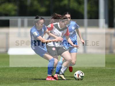 Bild-ID: 2487581