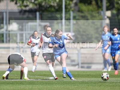 Bild-ID: 2487694