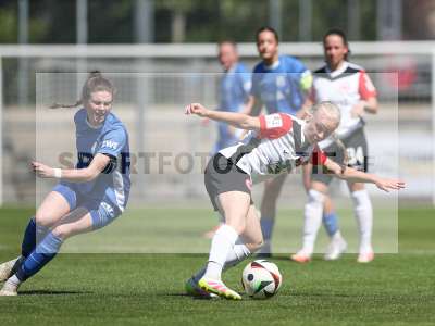 Bild-ID: 2487717