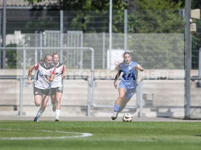 Bild-ID: 2487720