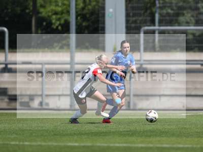 Bild-ID: 2487750