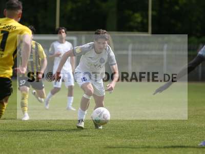 Bild-ID: 2487808