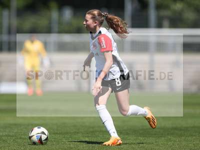 Bild-ID: 2487879