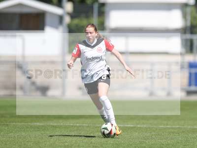 Bild-ID: 2487887