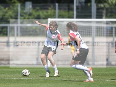 Bild-ID: 2487924